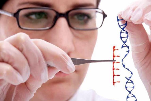 Hello, my name is… GMO